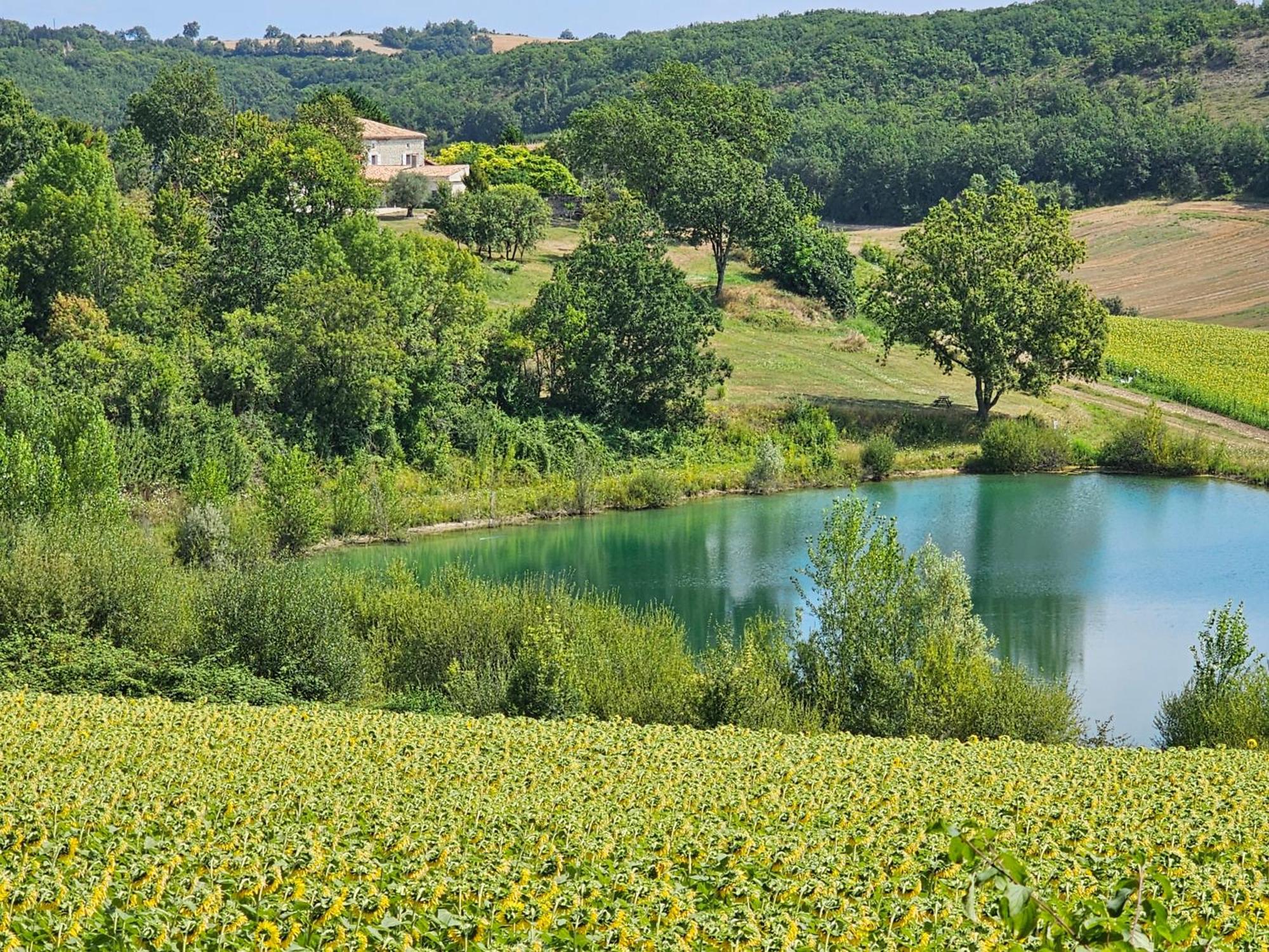 Le Gîte du Souffle des Anges Sauveterre  Extérieur photo